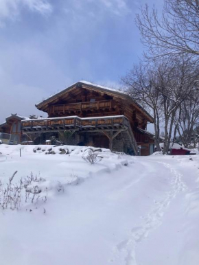 Magnifique chalet bois pour 16 personnes à 1600m